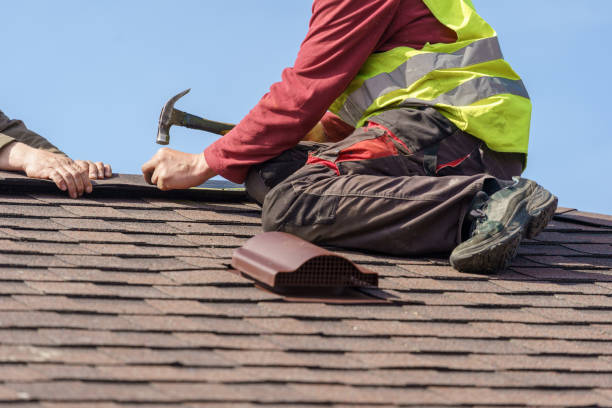 Best Roof Gutter Cleaning  in Pinecrest, FL